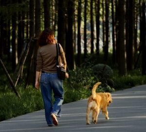 Persona a passeggio con il cane tra gli alberi