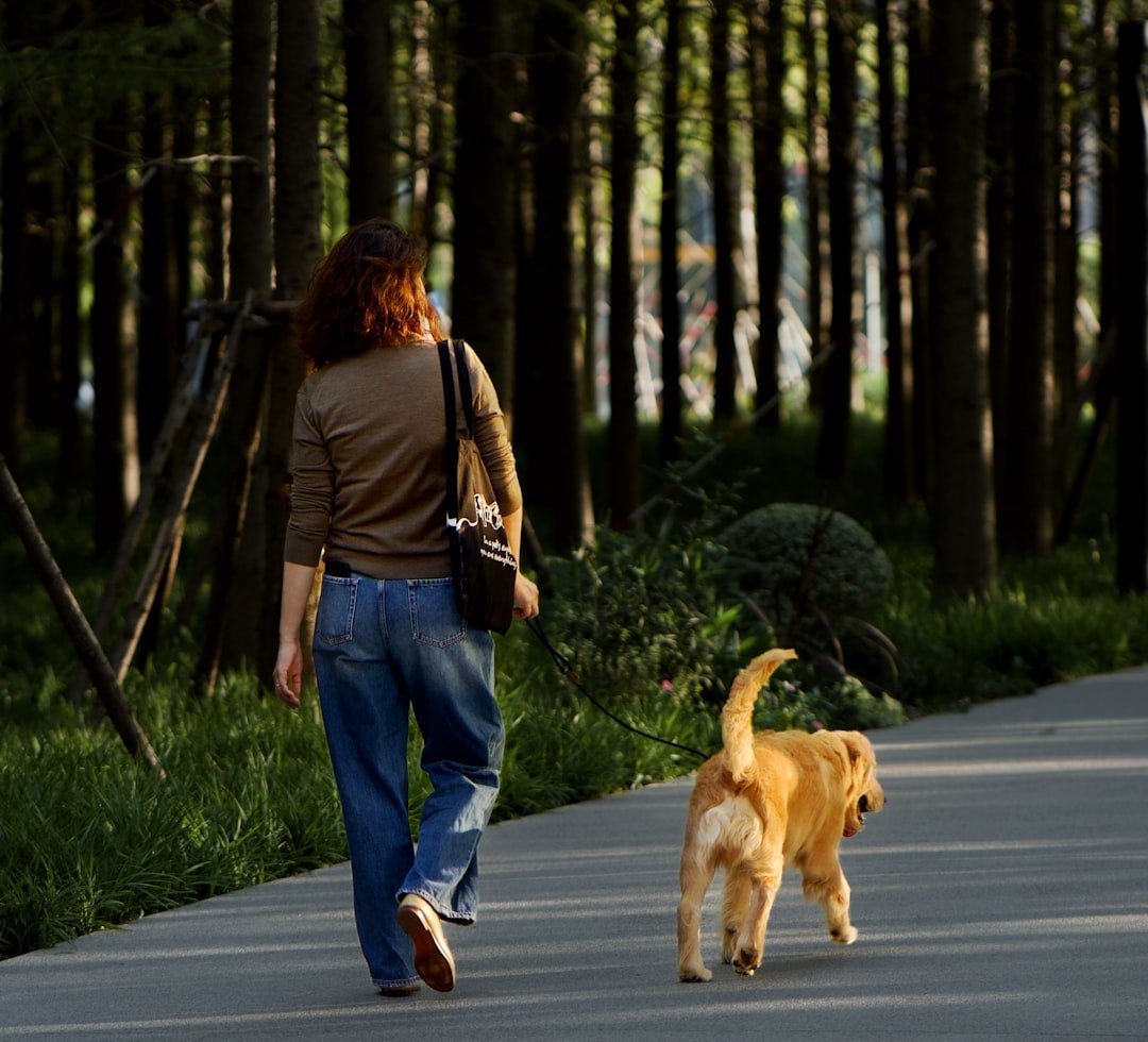 Persona a passeggio con il cane tra gli alberi